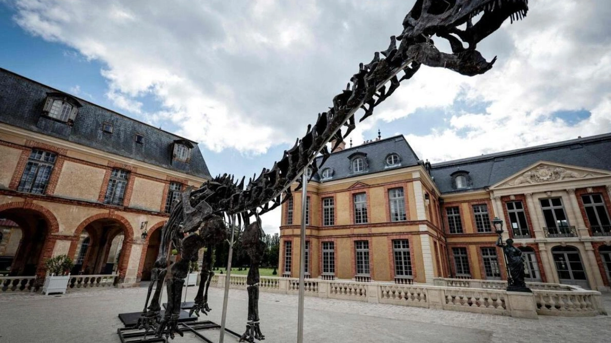 22-Metre Apatosaurus Skeleton Fetches €6 Million at Auction