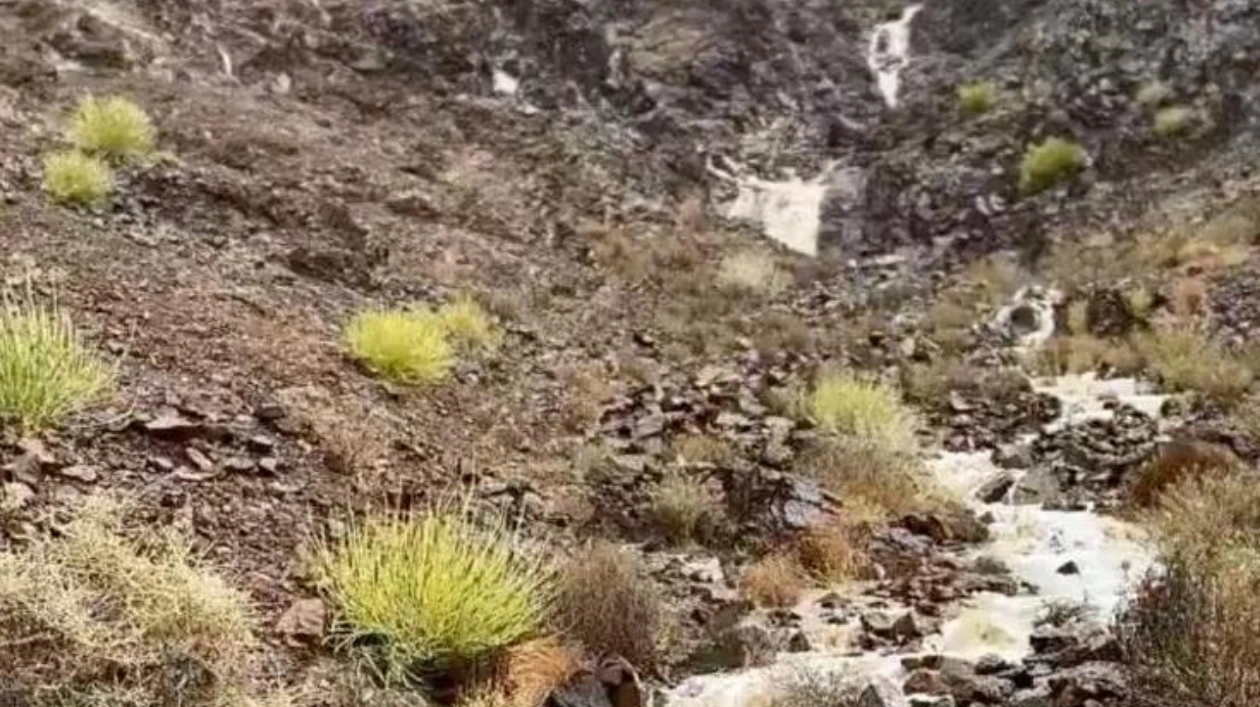 Rainfall Hits Eastern UAE Coast, Fujairah Mountains