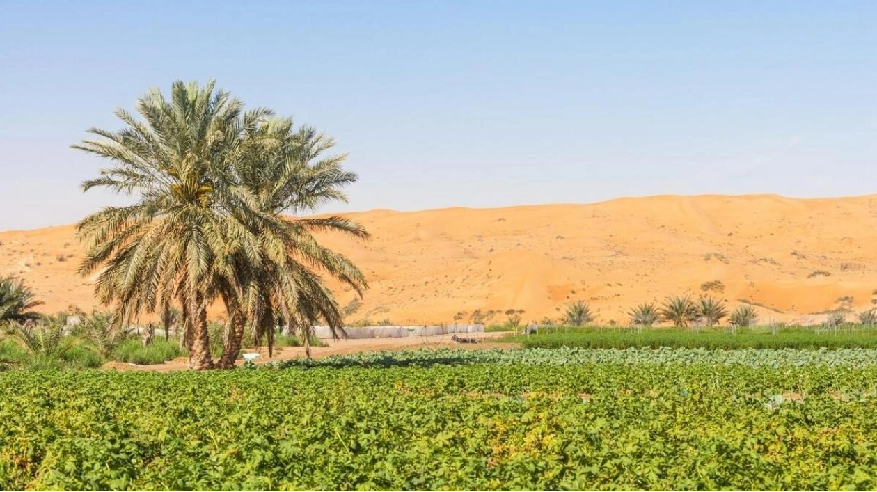 UAE Unveils World's First ChatGPT Tool for Agriculture