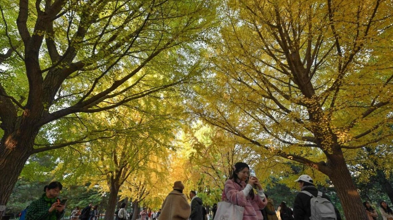 China Experiences Warmest Autumn on Record