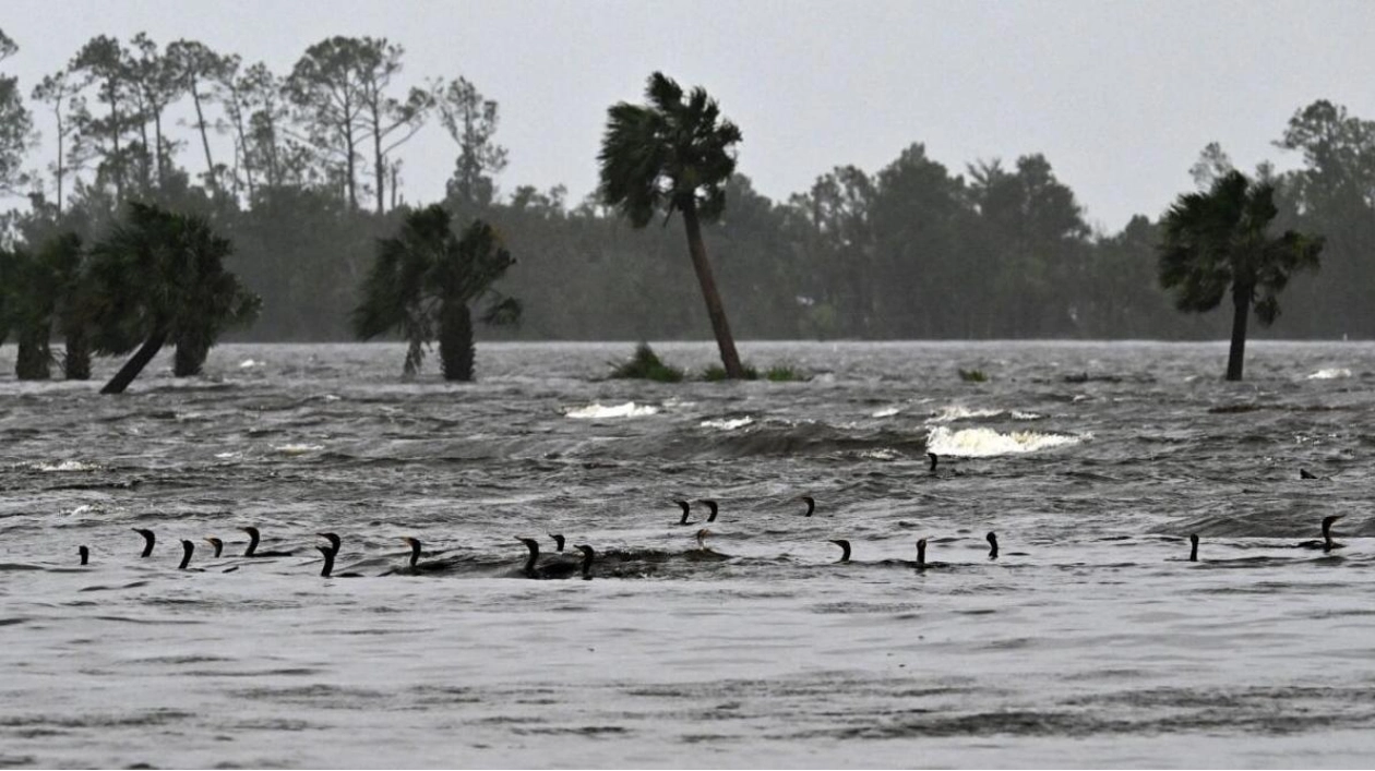 UAE Mission in Houston Advises Caution Amid Hurricane Beryl's Approach