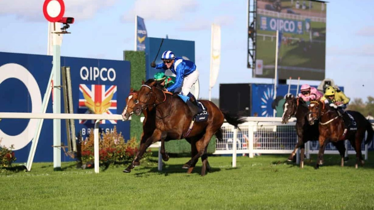 Unexpected Twist: Anmaat Wins Champion Stakes