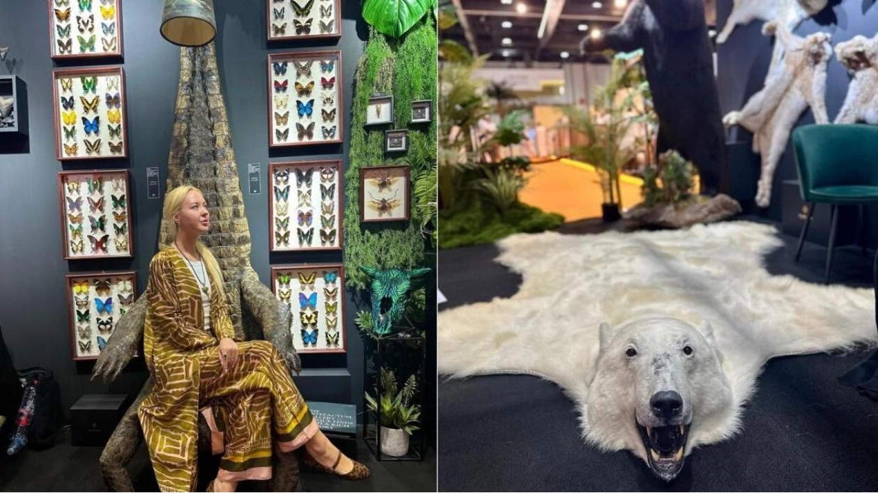 Exotic Wildlife Specimens on Display at Abu Dhabi Exhibition