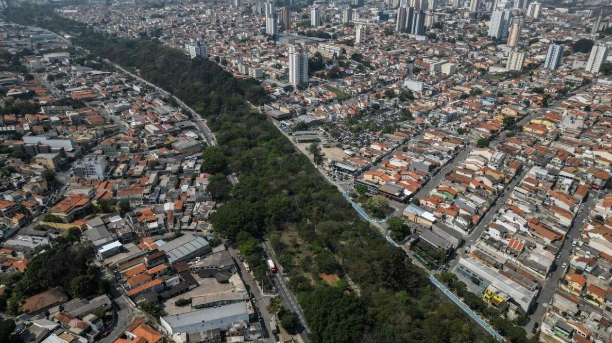 Helio da Silva: The Man Who Planted 40,000 Trees in Sao Paulo