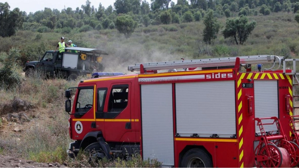 Algerian Firefighters Battle Wildfires in Kabylie Region