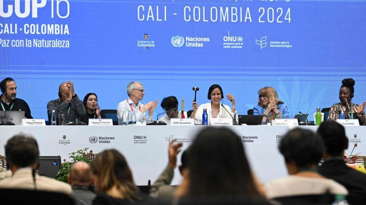 COP16 Summit in Colombia Ends Without Funding Agreement