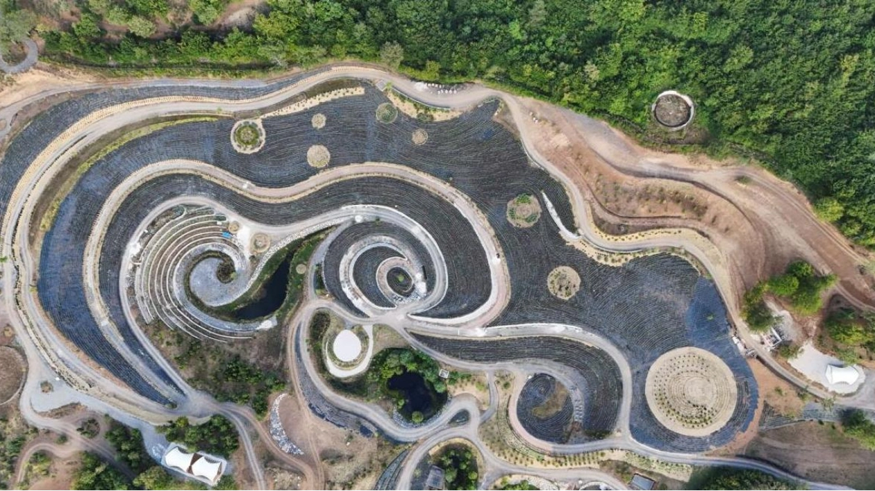 Bosnian Entrepreneur Realizes Dream of Van Gogh's Starry Night Park