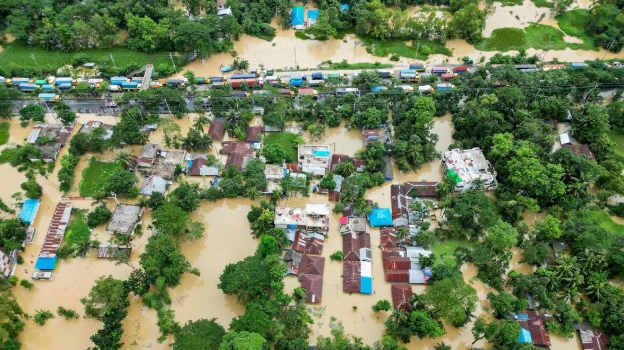 Floods Ravage Bangladesh: Rice Production Hit Hard