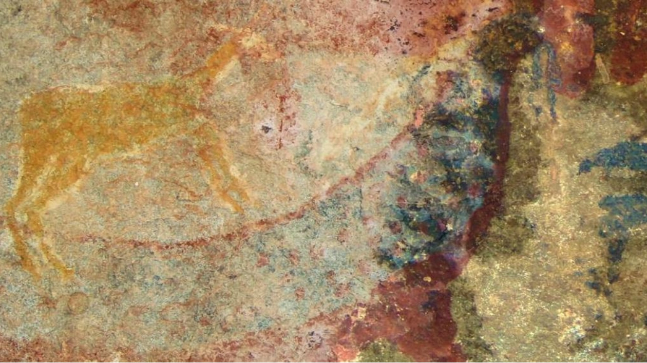 African Rock Art May Reflect Ancient Dicynodont Fossils