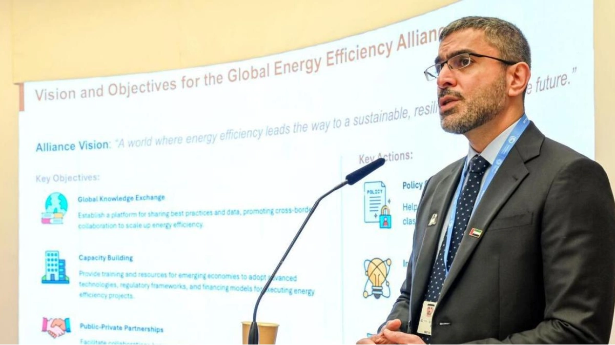 UAE Launches Global Energy Efficiency Alliance at COP29