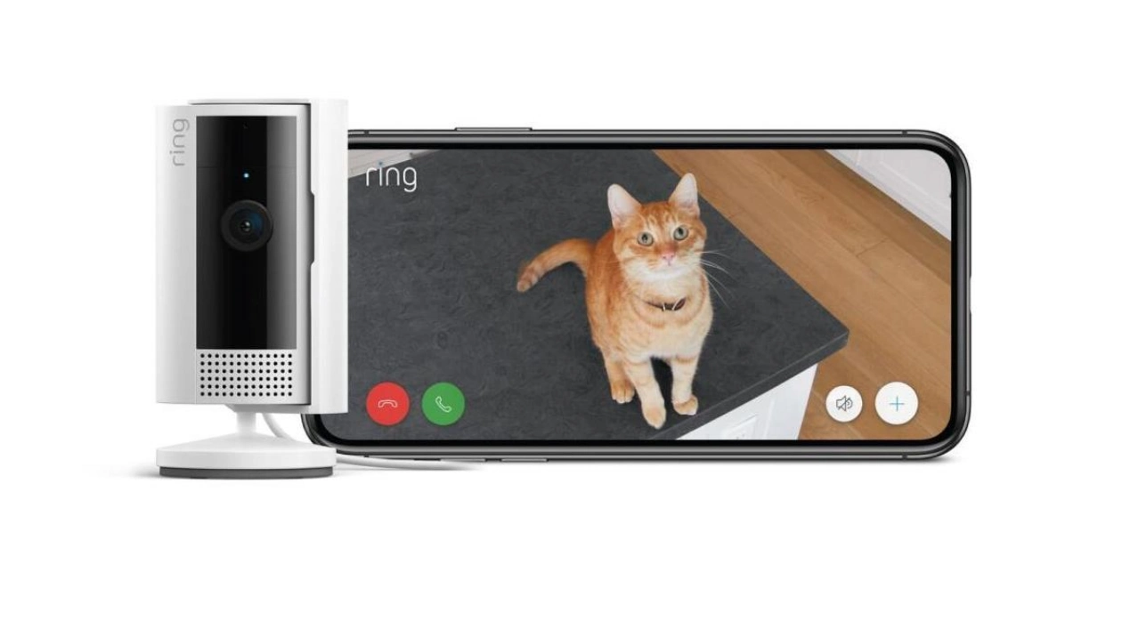 Ring Devices: Ensuring Pet Safety and Peace of Mind in the Middle East