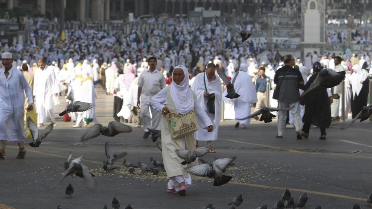 Hajj 2023 to Start on June 14: Essential Preparations and Vaccinations
