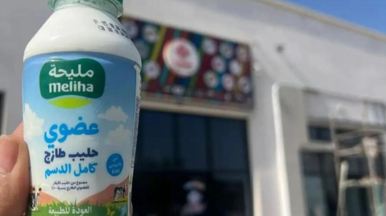 Mleiha Organic Milk: A Staple in Sharjah and Beyond