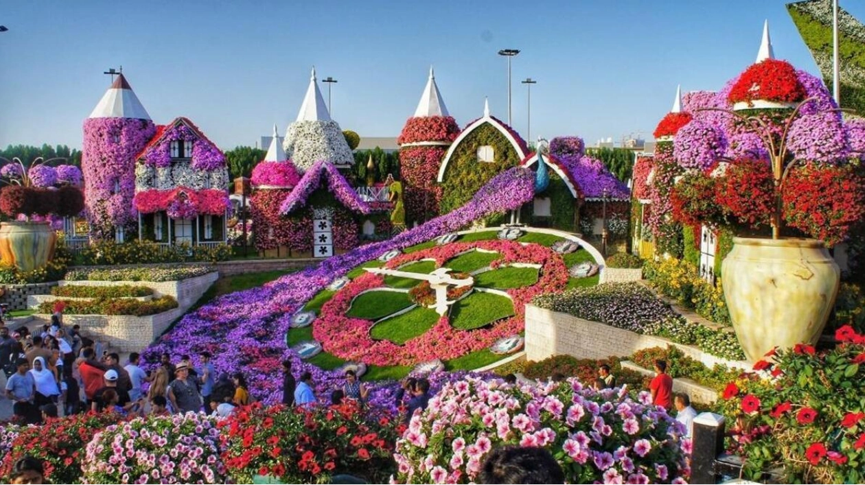 Dubai Miracle Garden Reopens for Season 13 with New Pricing