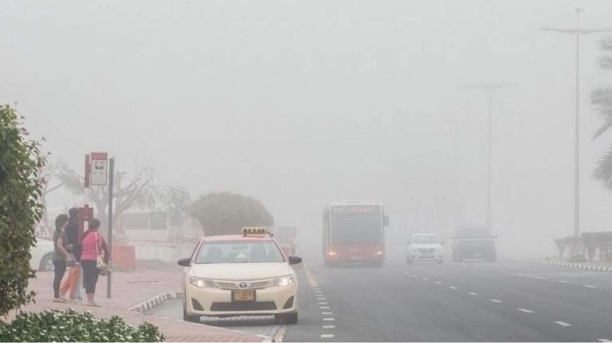 Red Alert Issued as Foggy Conditions Persist in UAE