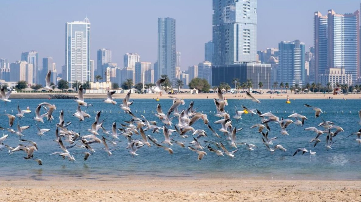 UAE Weather Forecast: Cloudy Skies and Localized Rain Expected