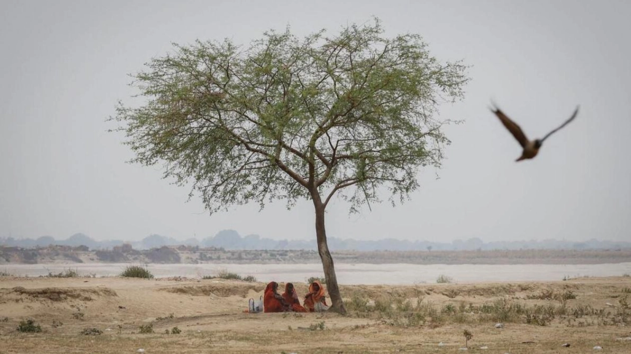 Heatwave Ravages Eastern India, Claiming Lives