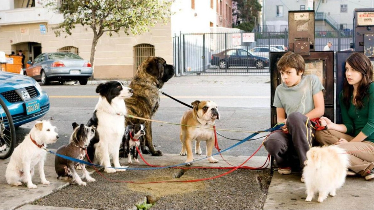 Growing Number of Pets Abandoned in UAE During Summer