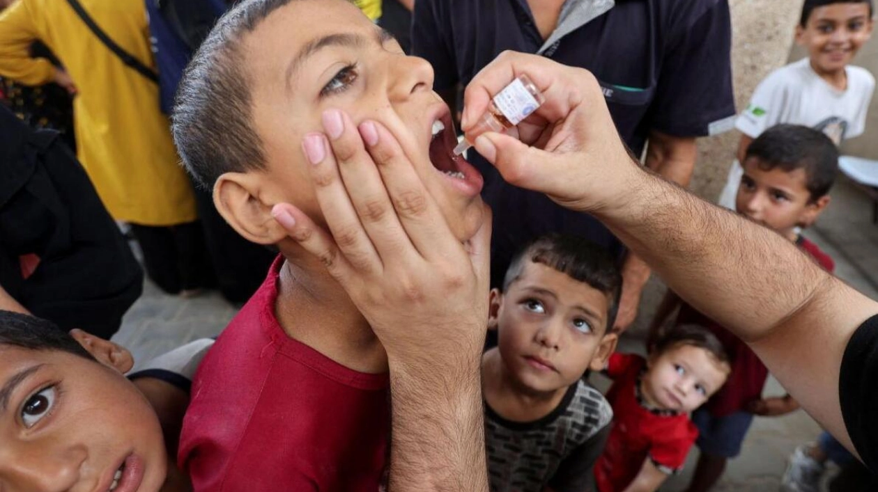 First Polio Case in Gaza in 25 Years Triggers Mass Vaccination