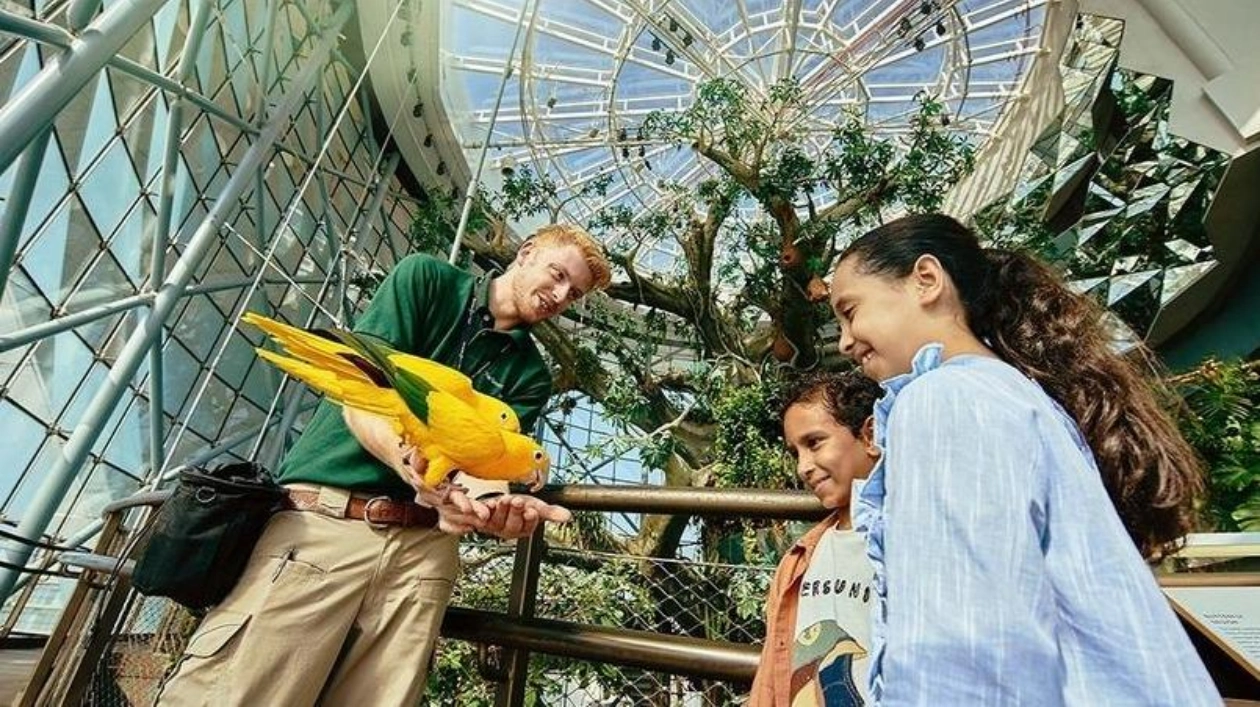 Green Planet Dubai: Новый квест «Jungle Quest» для юных исследователей