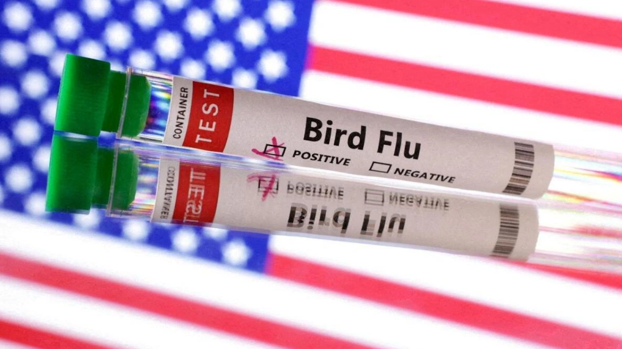 Teen in Canada Tests Positive for Bird Flu