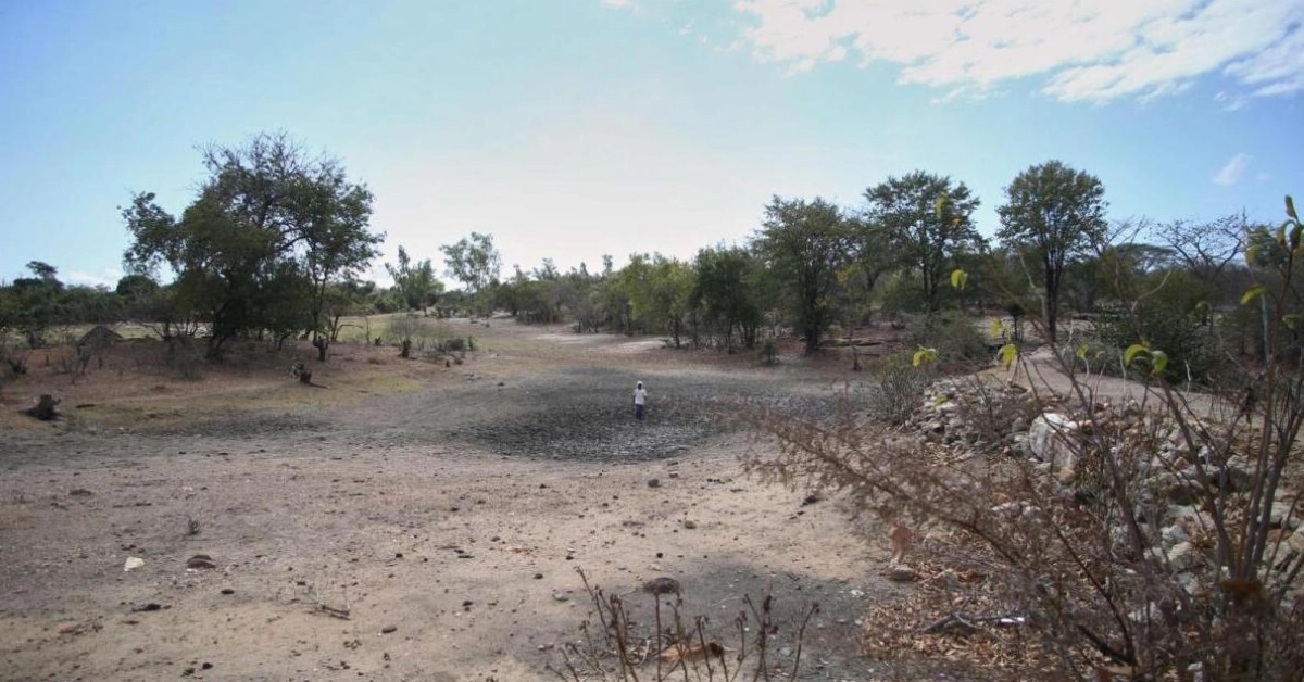 Drought Devastates Zimbabwe: A Struggle for Survival