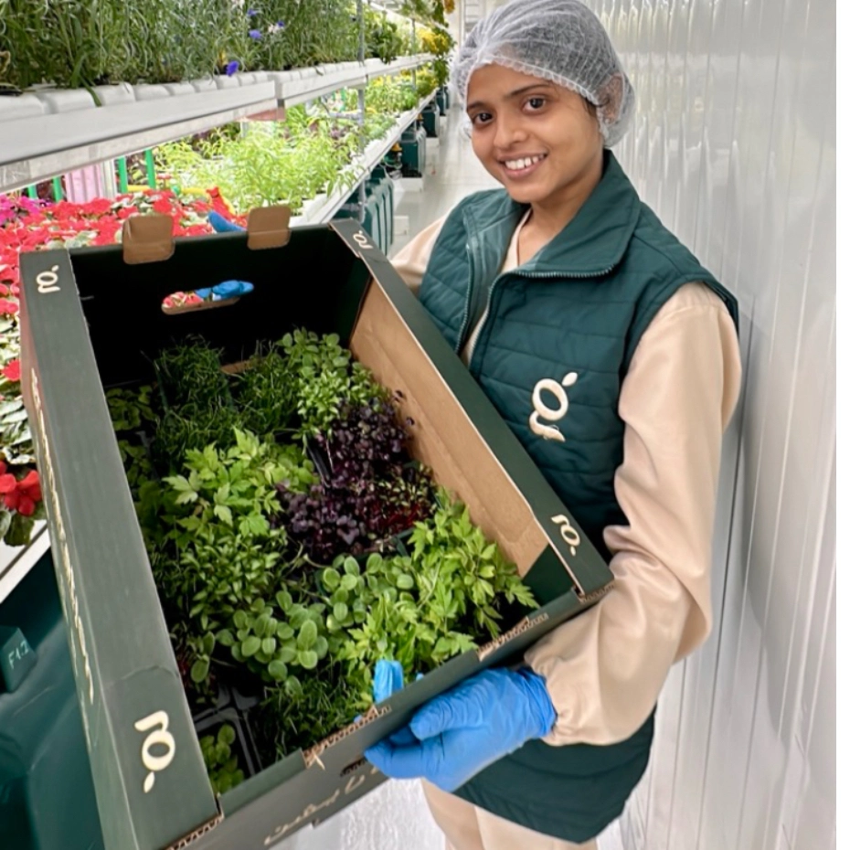 a woman showing a crate with greenery