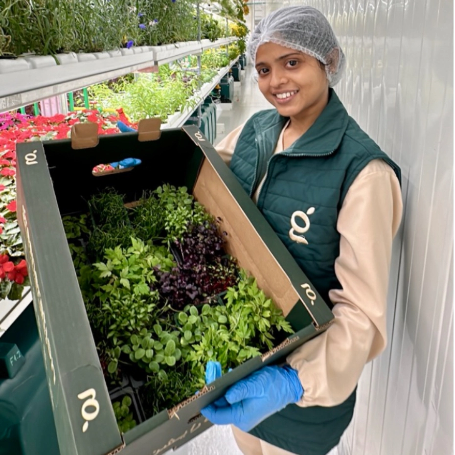 a woman with the box of greenery