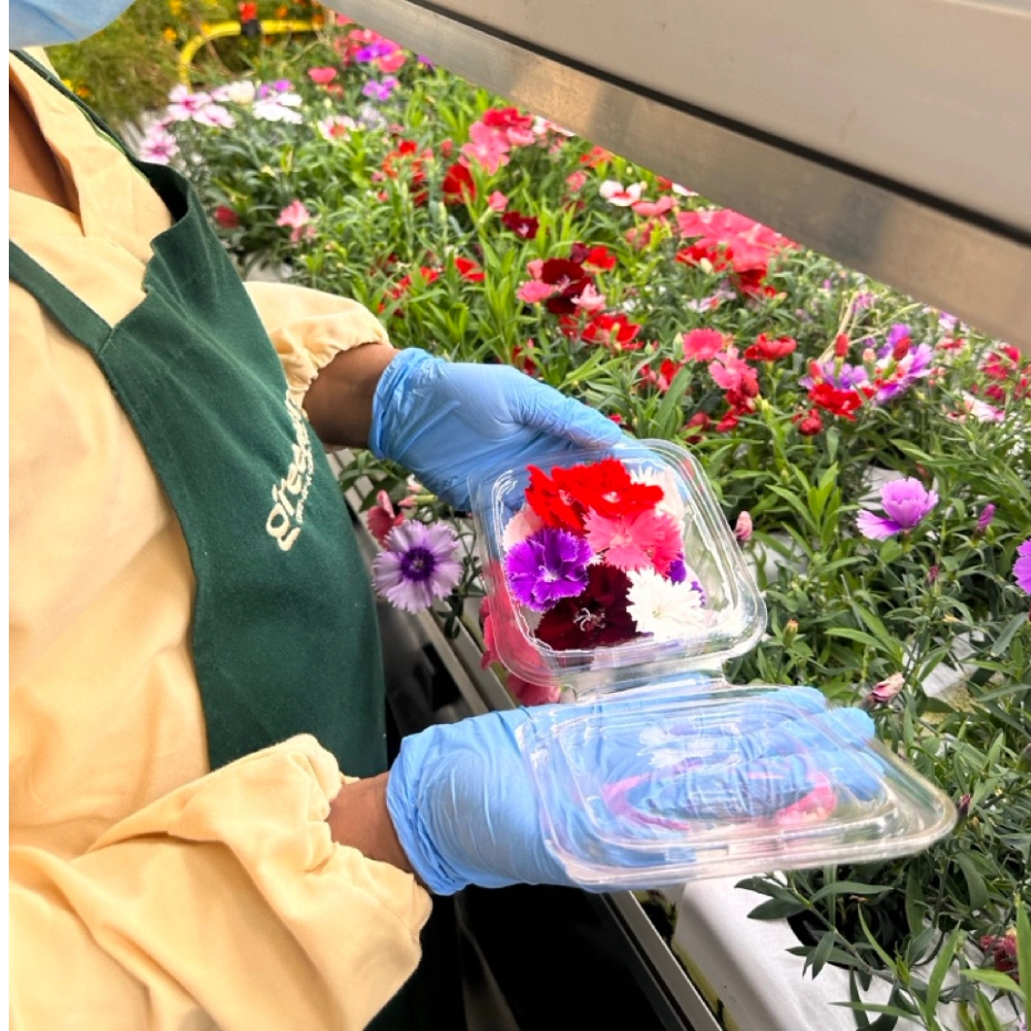 a man picking flowers