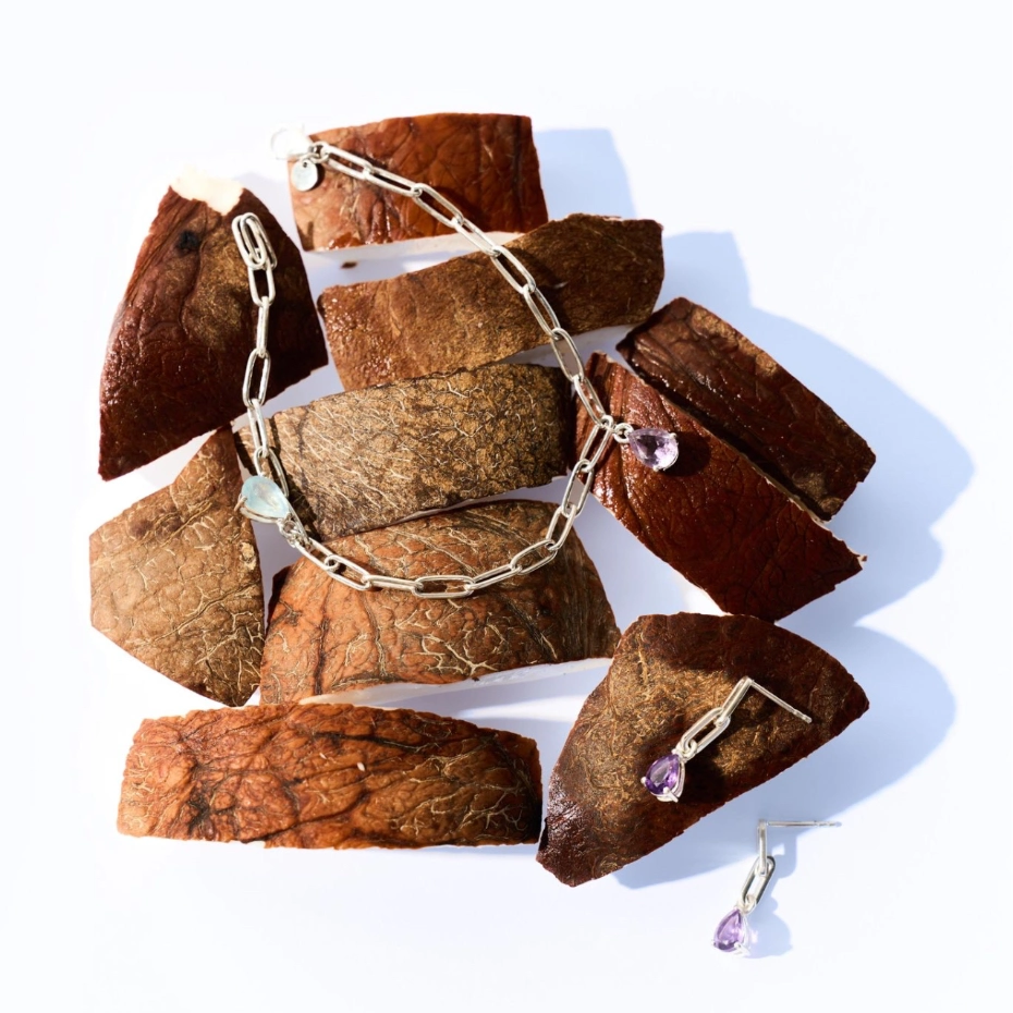 Jewelry on coconut