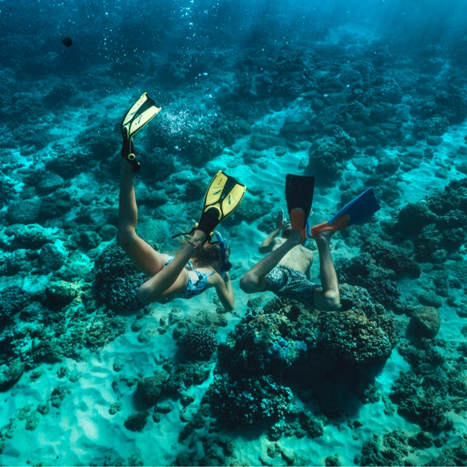 a man and a woman snorkeling