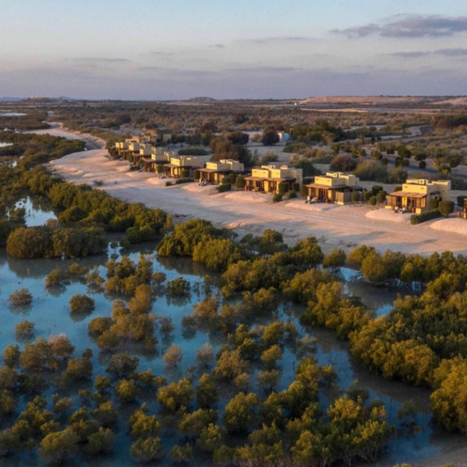 Sir Bani Yas island